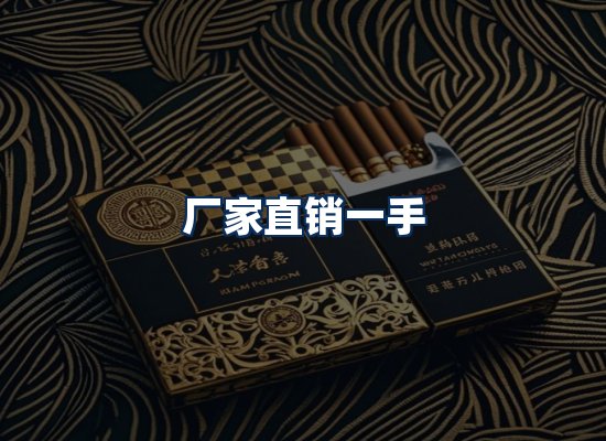 专业团队办公环境